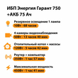 ИБП для котла Энергия Гарант 750 + Аккумулятор 75 Ач 12 В (450Вт - 91мин) - ИБП и АКБ - ИБП для котлов - . Магазин оборудования для автономного и резервного электропитания Ekosolar.ru в Коврах
